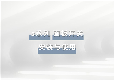 S系列 面板开关 | RW-WPS4A